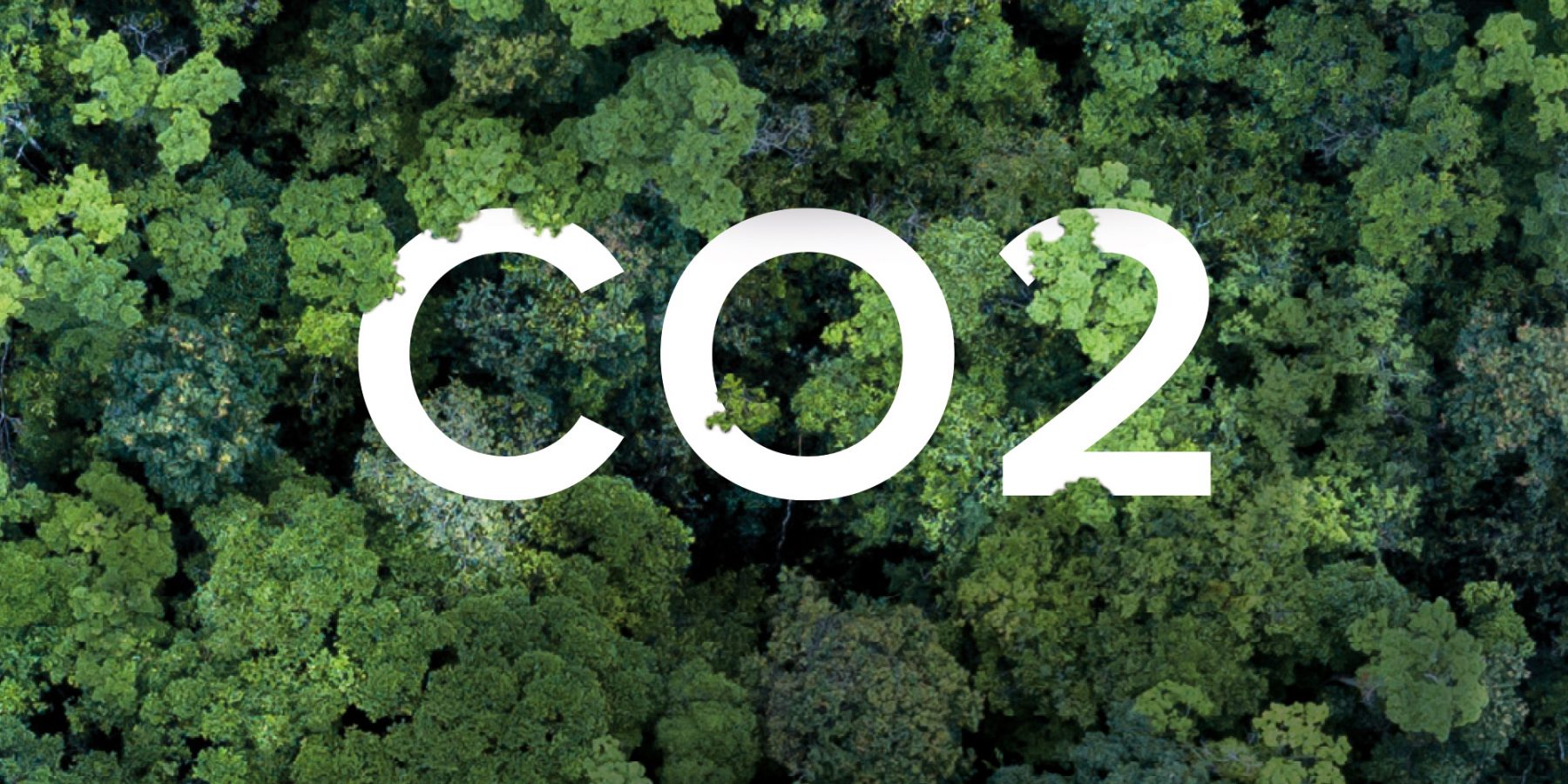 Green: Transporte mit CO2-Kompensierung